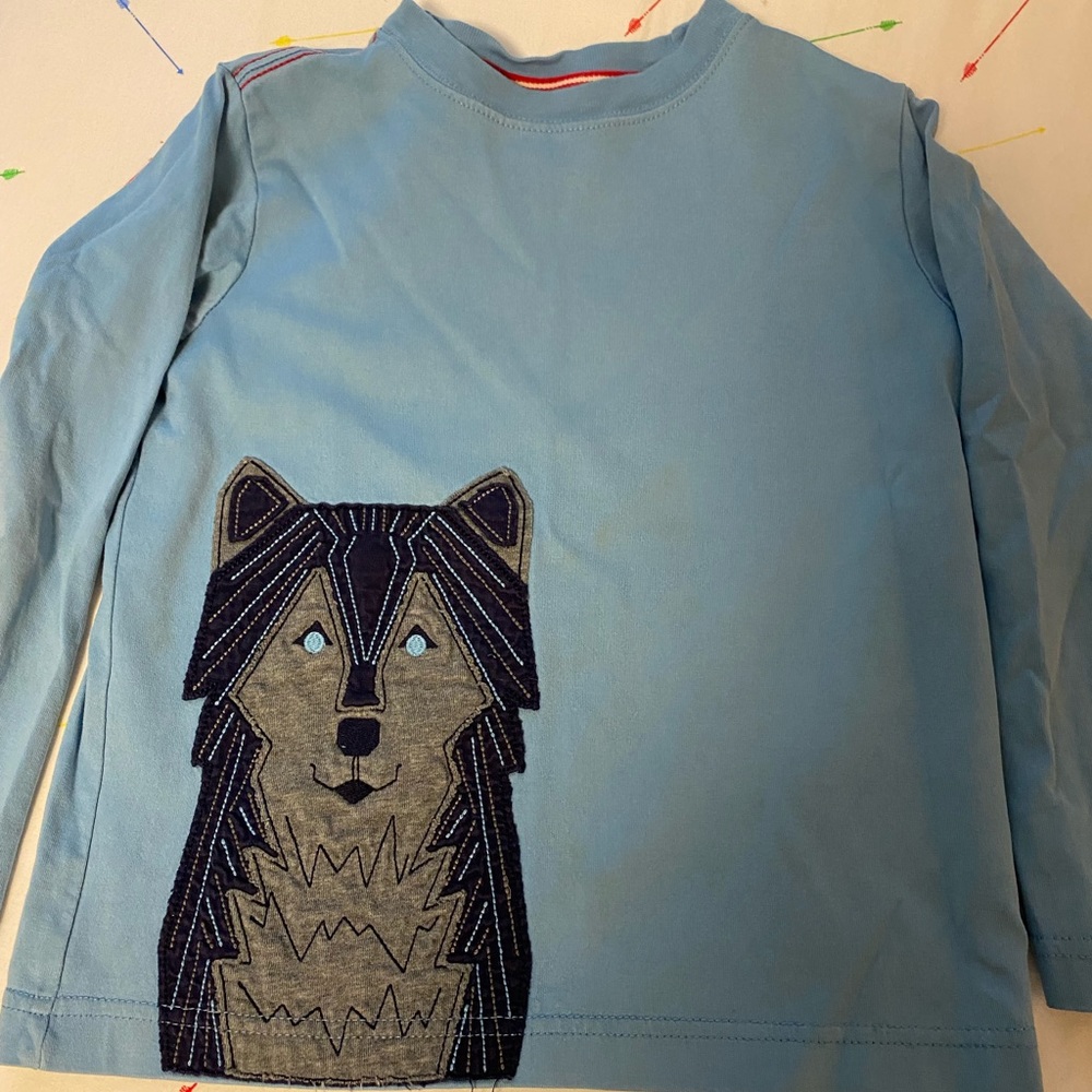 Hanna Andersson Boys Long Sleeve Shirt Size 110/5